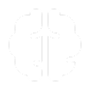 brain