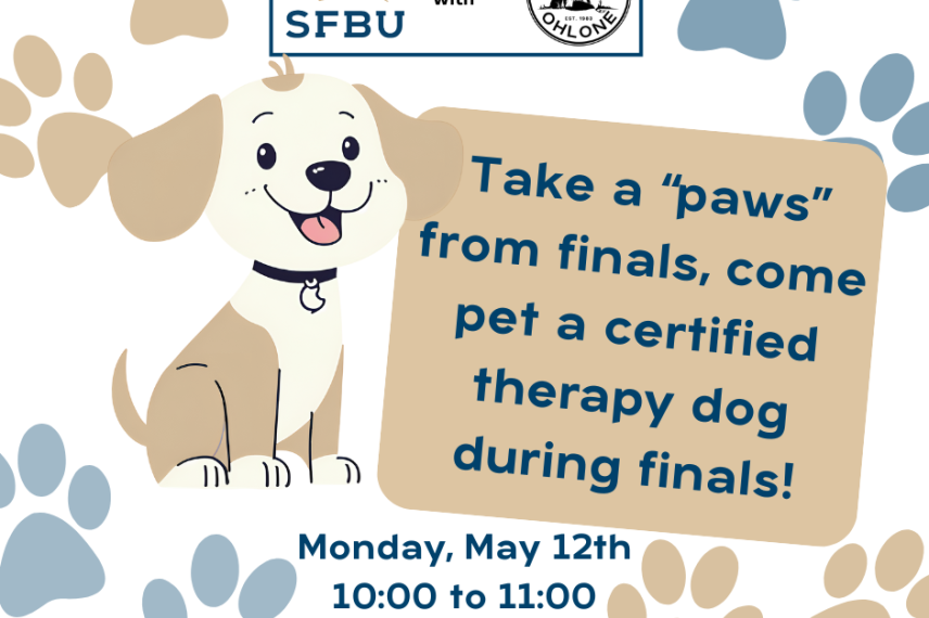 Pet Therapy